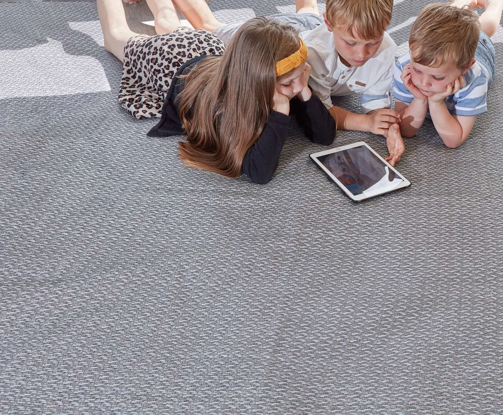 Photo of Isabella Flint Carpet for Xtension